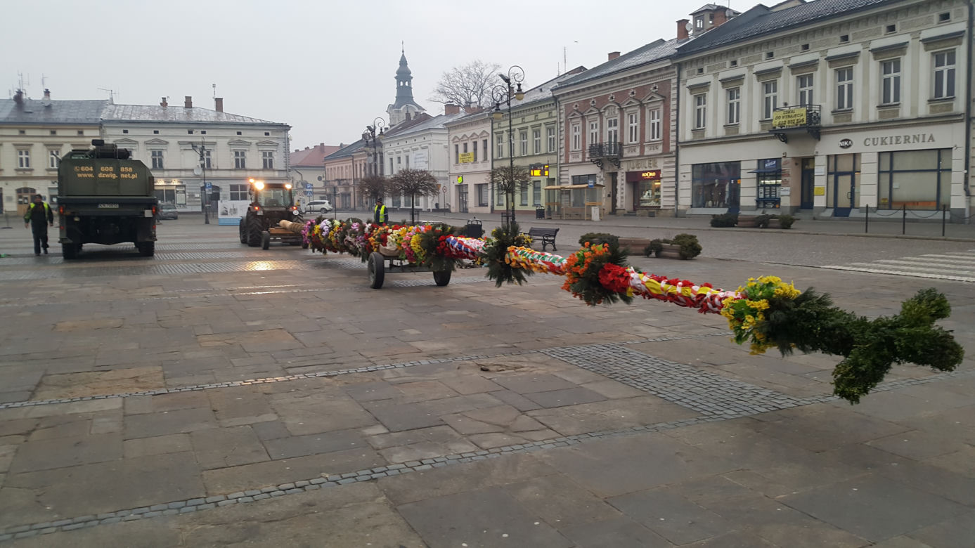 Ogromna palma wielkanocna na nowosądeckim Rynku 