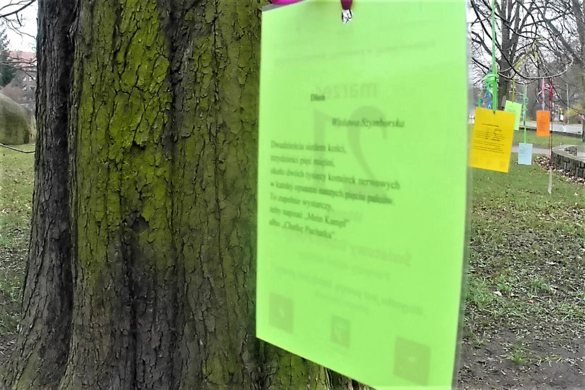 Światowy Dzień Poezji w Szczecinie