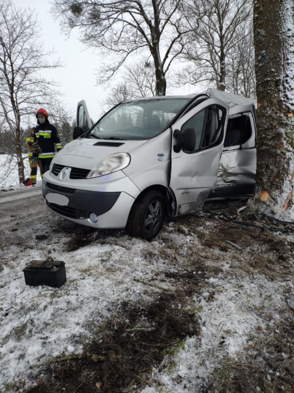 Bus uderzył w drzewo. Na szczęście podróżującym nic się nie stało