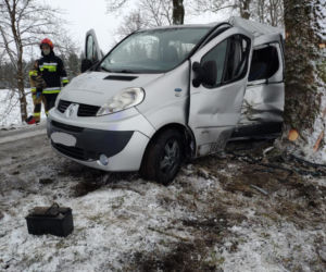 Bus uderzył w drzewo. Na szczęście podróżującym nic się nie stało