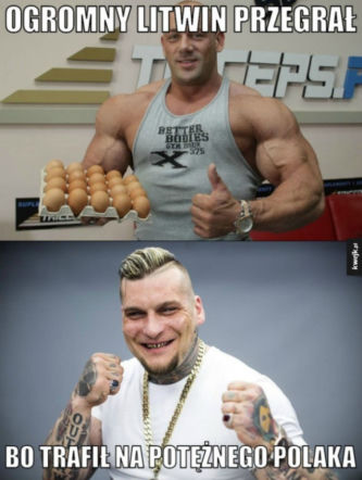 KSW 39 - śmieszne obrazki
