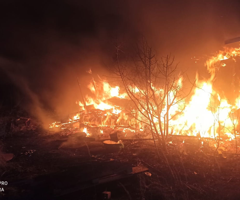 Spłonęła altana na ogródkach działkowych w Lesznie. W środku był człowiek 
