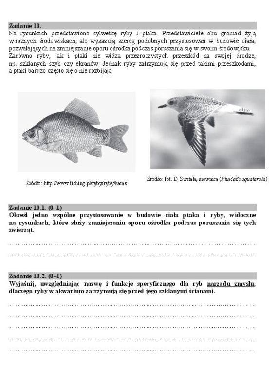 Matura biologia10