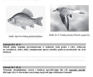 Matura biologia10