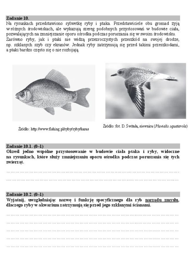 Matura biologia10