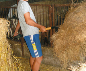 Nie jedziemy na wakacje bo pasiemy krowy
