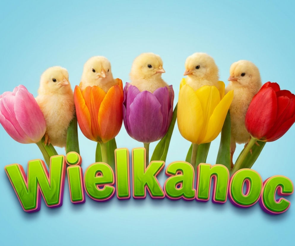 Życzenia na Wielkanoc 2026. Sprawdź najpiękniejsze wierszyki dla rodziny i znajomych