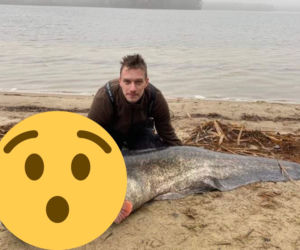 GIGANTYCZNA BESTIA pływała w mazurskim jeziorze! Mieszkańcy nigdy się tam już nie wykąpią [ZDJĘCIA]