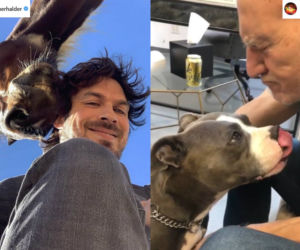 Ian Somerhalder; Patrick Stewart