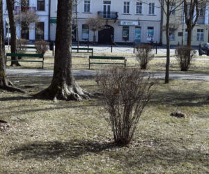 Suwałki. Tak uchodźcy odwdzięczają się mieszkańcom miasta