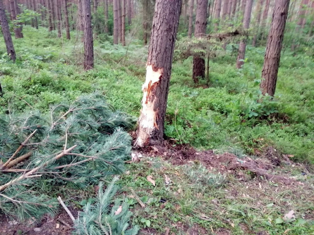 To cud, ze nikt nie zginął w tym wypadku! 