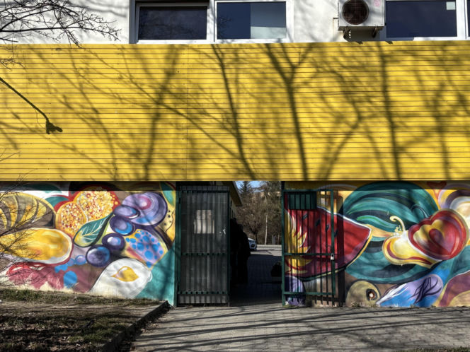 Plac Handlowy Manhattan w Krakowie, Wola Duchacka