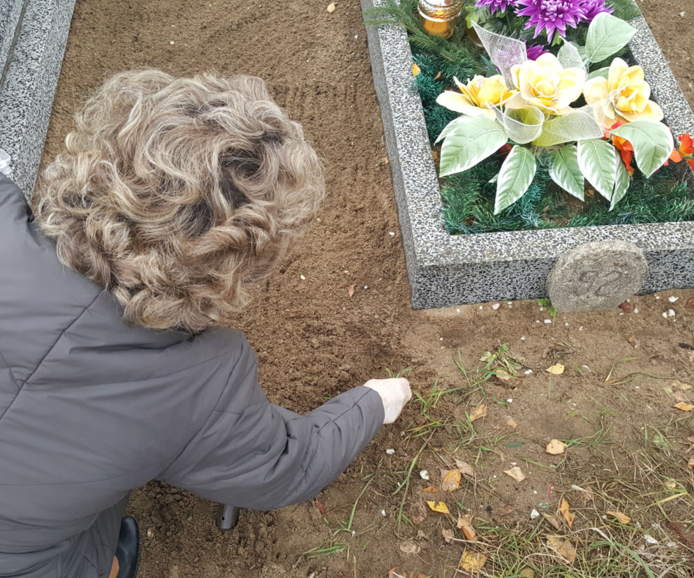 Wszystkich Świętych 2019. W Bydgoszczy przygotowania idą pełną parą!