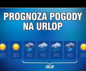Urlop: memy