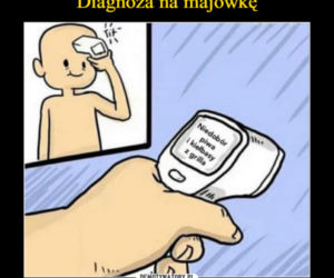 majówka 2021 - memy