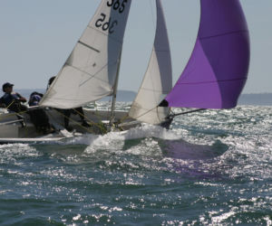 Najpopularniejsze dyscypliny sportowe - Podkarpacie