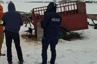 Psy na łańcuchach bez wody i jedzenia. Małżeństwo odpowie za znęcanie się nad 16 psami