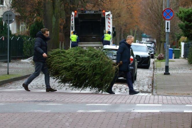 Donald Tusk z zięciem dźwigają gigantyczną choinkę. A za nimi drepcze Kasia z drugą. Wnusie premiera jak księżniczki