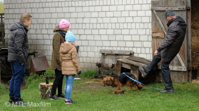 M jak miłość odc. 1204. Paweł (Rafał Mroczek), pies Kminek (Lizak), Ala (Olga Frycz), Basia (Gabriela Raczyńska)