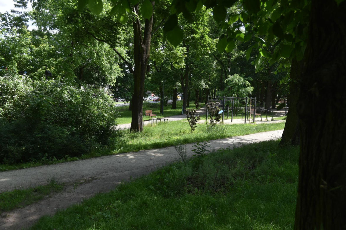 Park Glazja w Toruniu. To tutaj doszło ataku na 24-letnią kobietę