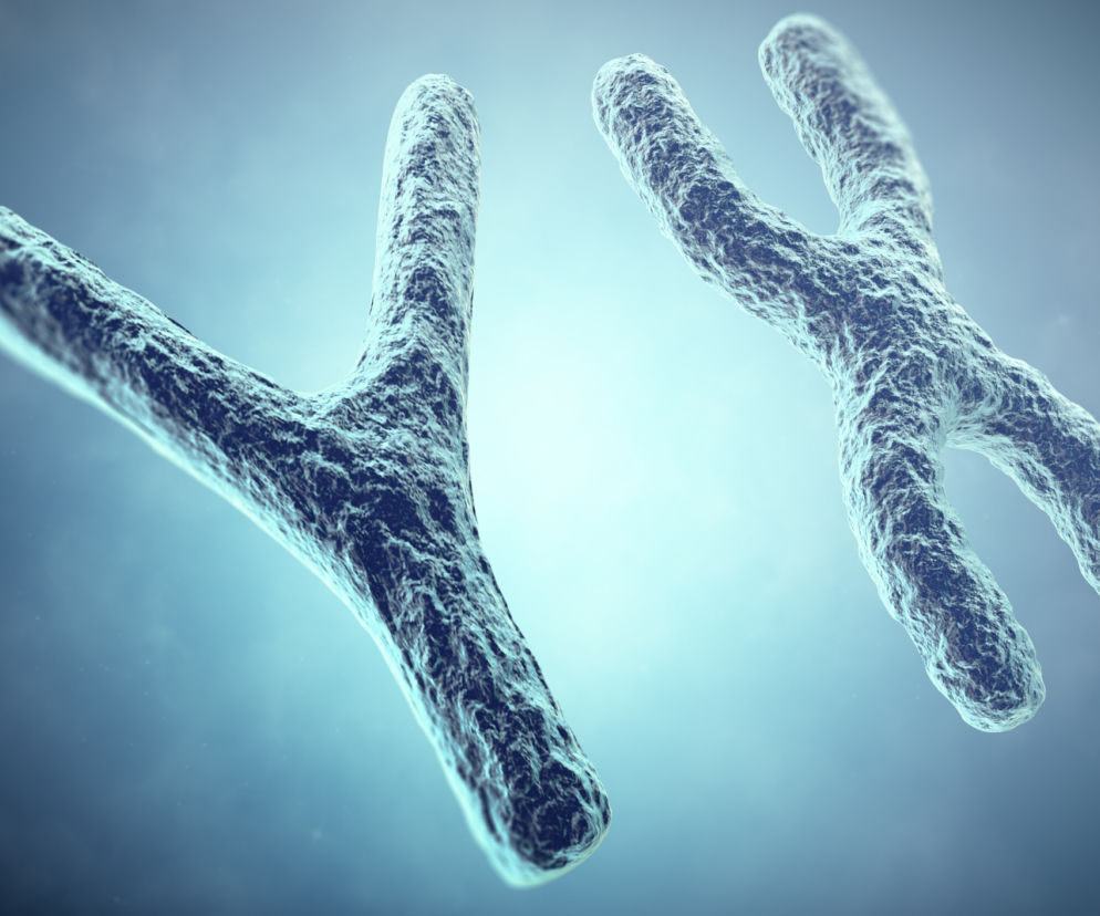 zespół kruchego chromosomu