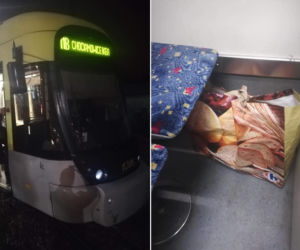 Nietypowa interwencja łódzkiego Animal Patrolu