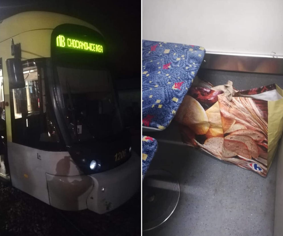 Nietypowa interwencja łódzkiego Animal Patrolu