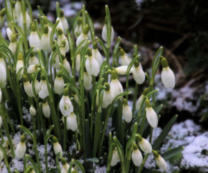 To będzie koniec zimy 2026. Ma być nawet 20 stopni! Naukowcy podali dokładną datę! Tego dnia po zimie stulecia mają zostać już tylko zakurzone sanki. 