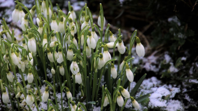 To będzie koniec zimy 2026. Ma być nawet 20 stopni! Naukowcy podali dokładną datę! Tego dnia po zimie stulecia mają zostać już tylko zakurzone sanki. 