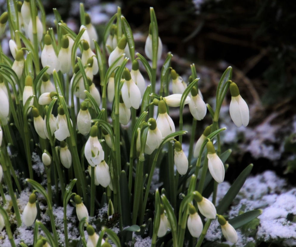 Pogoda na luty 2022. Wiosna w tym roku przyjdzie wcześniej? 
