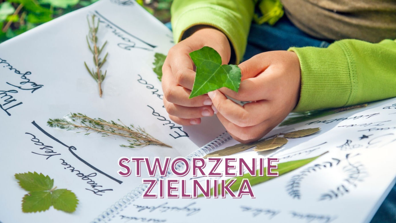 Niezawodne sposoby na wakacyjną nudę! Co robić latem? 