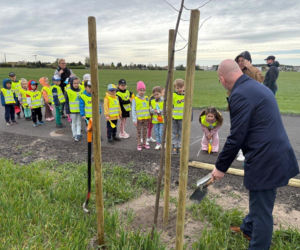 Zazieleni się Trojanowskiego w Lesznie. Przy ulicy posadzono drzewa