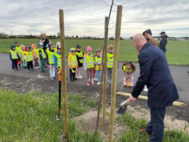 Zazieleni się Trojanowskiego w Lesznie. Przy ulicy posadzono drzewa