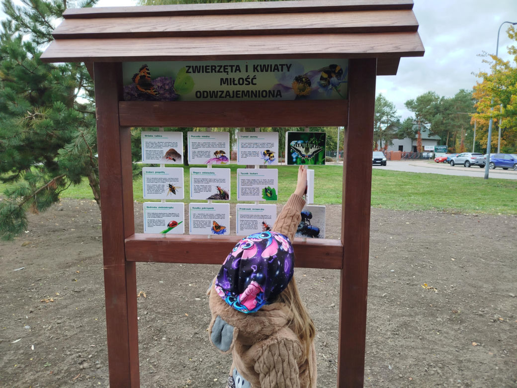 Park kieszonkowy przy ul. Żytniej w Siedlcach