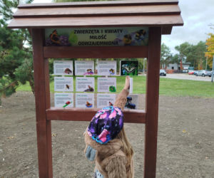 Park kieszonkowy przy ul. Żytniej w Siedlcach