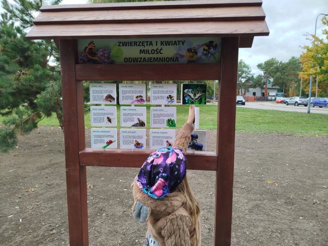 Park kieszonkowy przy ul. Żytniej w Siedlcach