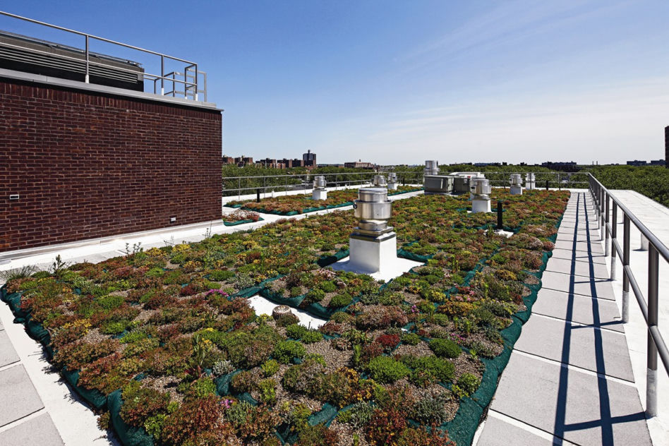 COOKFOX Architects