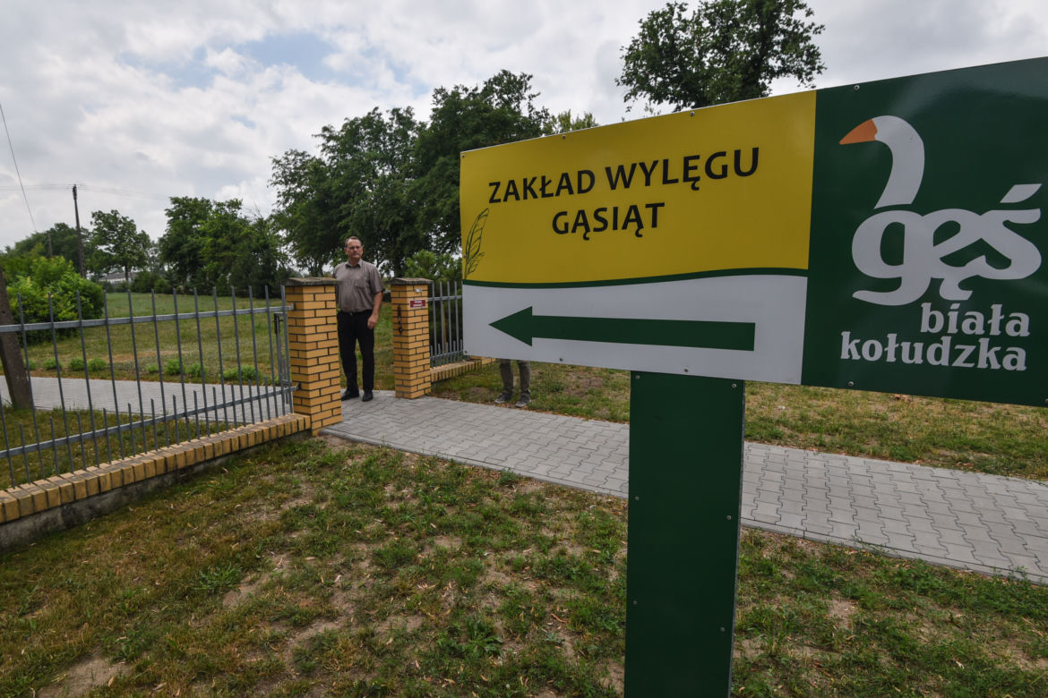 Zamieniam sejm na whisky