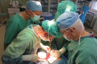 Obchodzimy Ogólnopolski Dzień Transplantacji. W tym lubelskim szpitalu nerkę przeszczepiono ponad 660 razy