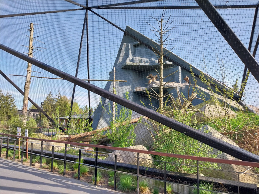 Wiosenny spacer w zamojskim zoo