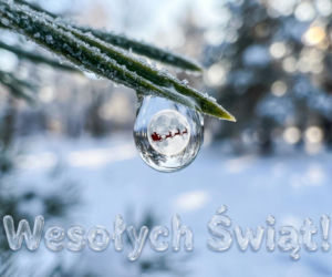 Piękne życzenia bożonarodzeniowe 2025. Gotowe teksty dla rodziny i przyjaciół