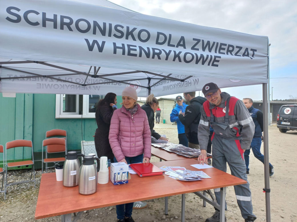 Przybyło psów w schronisku w Henrykowie koło Leszna. "Ilość zatrważająca"
