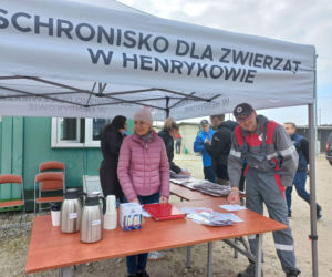 Przybyło psów w schronisku w Henrykowie koło Leszna. Ilość zatrważająca