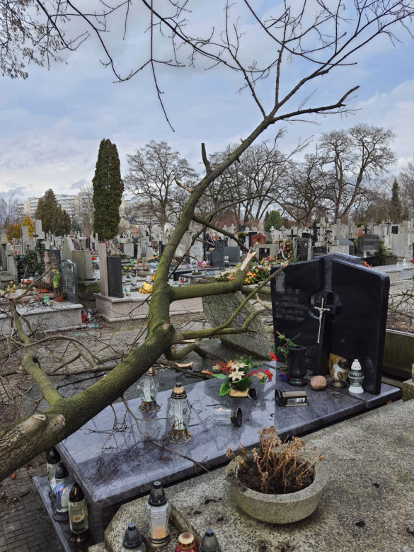 Wichura zdemolowała stołeczne nekropolie. Kompletna ruina na cmentarzach 