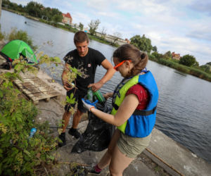 Wielkie sprzątanie brzegów Parnicy