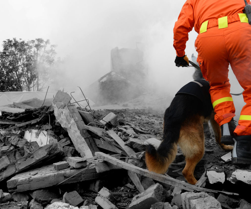 Ratownik w pomarańczowym kombinezonie z psem poszukiwawczym na gruzach budynku. O tragedii w Wenezueli przeczytasz na SE.
