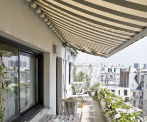 Kwiaty na balkon zachodni