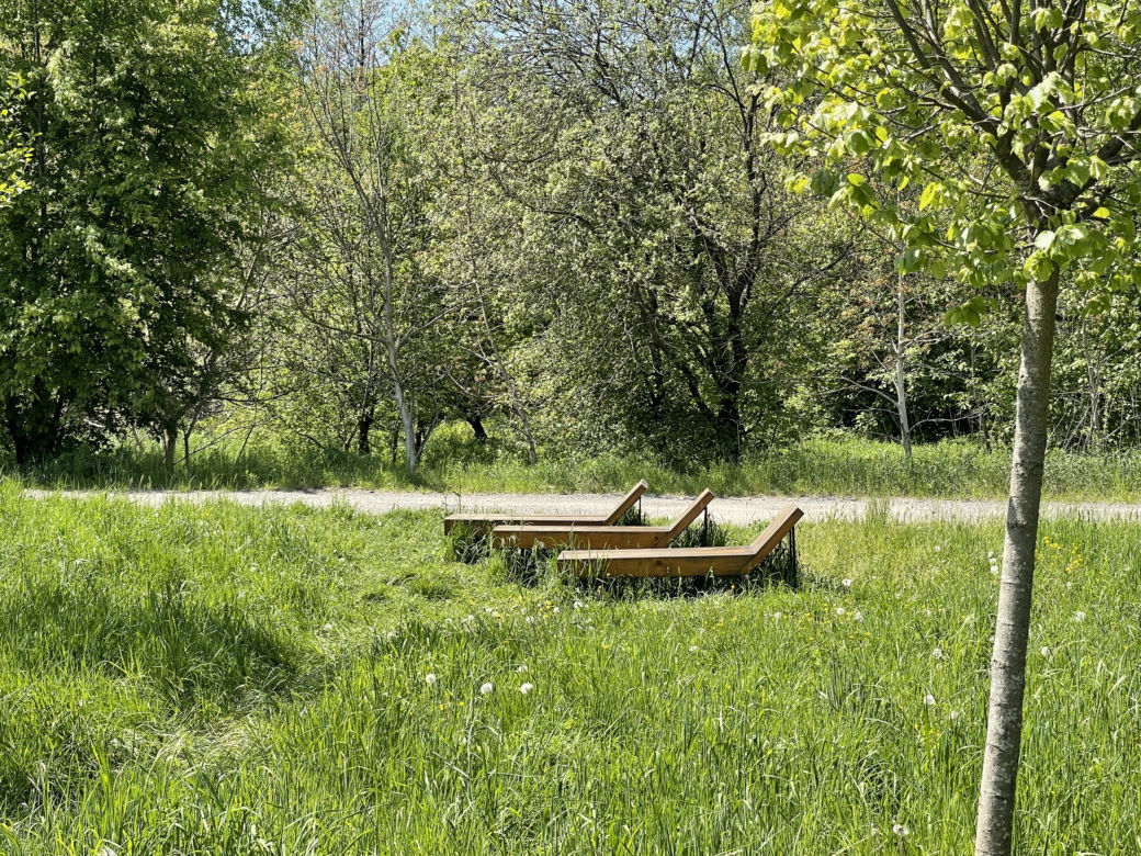 Kraków ma najdłuższy park w Polsce. Poznajcie Młynówkę Królewską! 