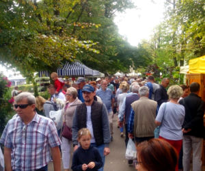 Pamiętajcie o ogrodach - edycja jesienna