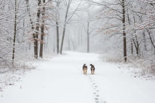 Marta Kaczyńska na zimowym spacerze. Co zaskoczyło obserwatorów?
